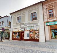 Commercial premises in Rimavská Sobota, shops with fruit and an Asian bistro.