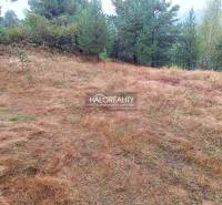 Lands - housing in Gelnica with grassy vegetation and surrounding trees.
