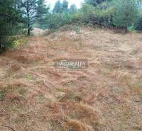 A wooded plot in Gelnica suitable for living, surrounded by nature and greenery.