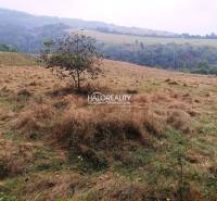 A garden in Gelnica on a gently sloping terrain suitable for plots - housing.