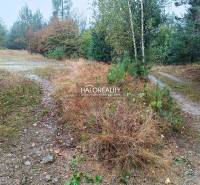 A forest plot for housing in the town of Gelnica with a path between trees and shrubs.