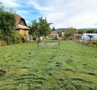 Mowed gardens in Terany with wooden buildings and trees in the background.