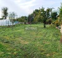 Gardens in Terany with fruit trees, lawn, and a greenhouse, surrounded by nature.