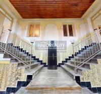 A staircase in a family house with decorative railings and painted elements on the walls.