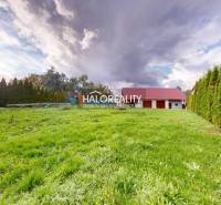 A garden at a family house in Hrachovo with a green lawn and a hedge.