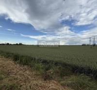 Agricultural and forest lands around Hula with power lines on the horizon.