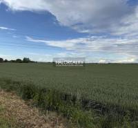 Vast agricultural and forest lands in the Hul area under the blue sky.