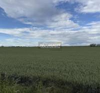 Vast agricultural lands - housing around Hul with power lines and blue sky.