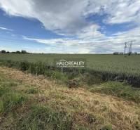 Extensive fields in Hula for plots - housing, under power lines, blue sky.
