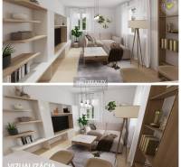 Living room in a two-room apartment, light wooden shelves, sofa, and plant.