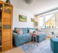 A comfortable living room of a family house with a blue sofa, a sauna, and a wooden decor floor.