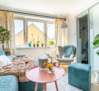 Living room in a family house with a blue sofa, plants, and a table with decorations.
