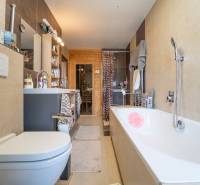 Bathroom in a family house with a shower, bathtub, and wooden decor.