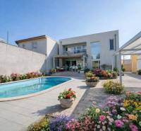 A family house on Bratislavská Street in Pezinok with a swimming pool and a flower garden.