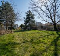 A garden at a family house on Bratislavská Street in Pezinok, surrounded by trees.