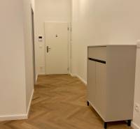 A hallway in a 2-room apartment with a wooden decor floor and a white cabinet.
