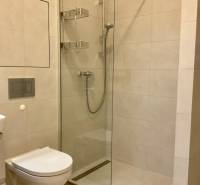 Bathroom in a 2-room apartment with a shower and a wall-hung toilet.