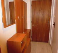 Entrance hallway to a 2-room apartment with wooden furniture and flooring with a wood decor.
