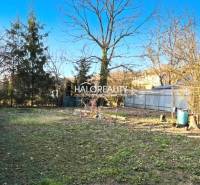A garden at a family house in Lučenec with a lawn and trees, without modifications.