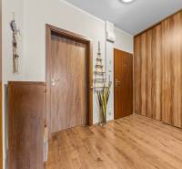 A hallway with a wooden decor floor in a 3-room apartment, built-in wardrobes and decorations.