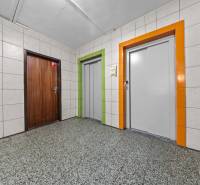 Hallway with entrance door and two elevators in a 3-room apartment.