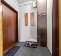 Entrance hall with a wardrobe and a shoe cabinet in a 3-room apartment with a wooden decor floor.