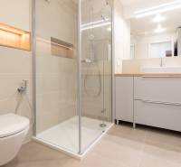 Bathroom in a 2-room apartment with a toilet, shower corner, and washbasin cabinet.