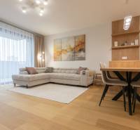 Living room in a 2-room apartment with a sofa, dining table, and wooden decor flooring.