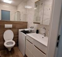 Bathroom in a family house with a toilet, sink, and washing machine, floor with wooden decor.