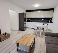 Living room with kitchen in a family house, wooden decor flooring, light furnishings.