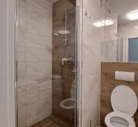 Bathroom with a shower and toilet, floor with wood decor.
