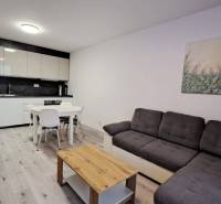 Living room with kitchen in a family house, sofa, table, and floor with wooden decor.