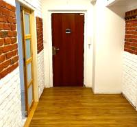 Entrance hallway with brick cladding and flooring with a wood decor in a 3-room apartment.