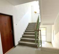 Staircase and entrance door in an apartment building, view of a bright corridor.