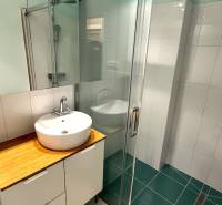 Bathroom with a shower and a sink on a wooden decor in a 3-room apartment.