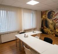 Offices with a large image of Buddha and a floor with wooden decor.