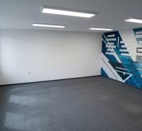 Office spaces with windows and a blue mural.