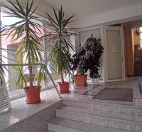 Interior of an office with potted plants and marble stairs.