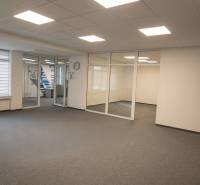 Spacious offices with glass partitions and a shelf, floor with wood decor.