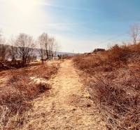 Recreational plots in Nová Kelča with a path surrounded by low vegetation and trees.