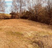 Recreational plots in Nová Kelča, with grass and trees on a gentle slope.