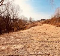 Recreational plots in Nová Kelča, dry trees and grassy areas in autumn weather.