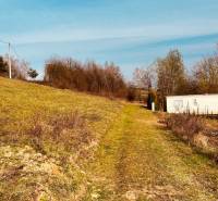 A cottage on a slope surrounded by greenery and trees in the Recreational Lands of Nova Kelc.