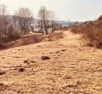 Recreational plots in Nová Kelča with dry grass and trees in the background.