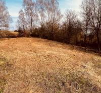 A landscape of an empty plot with grass and trees at Recreational Plots in Nova Kelc.
