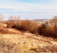 Recreational plots around Nová Kelča with views of wooded hills and open nature.
