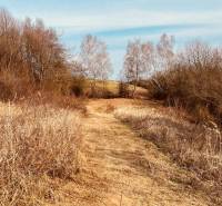 Nature with a path through dry grass in the recreational areas of Nova Kelc.