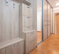 Entrance hall with wooden decor in a 2-room apartment, wardrobes with mirrors, hooks.
