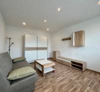 A one-room apartment with a wooden decor floor and practical furniture equipment.