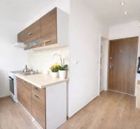 A kitchen with wooden decor and entrance door in a studio apartment.